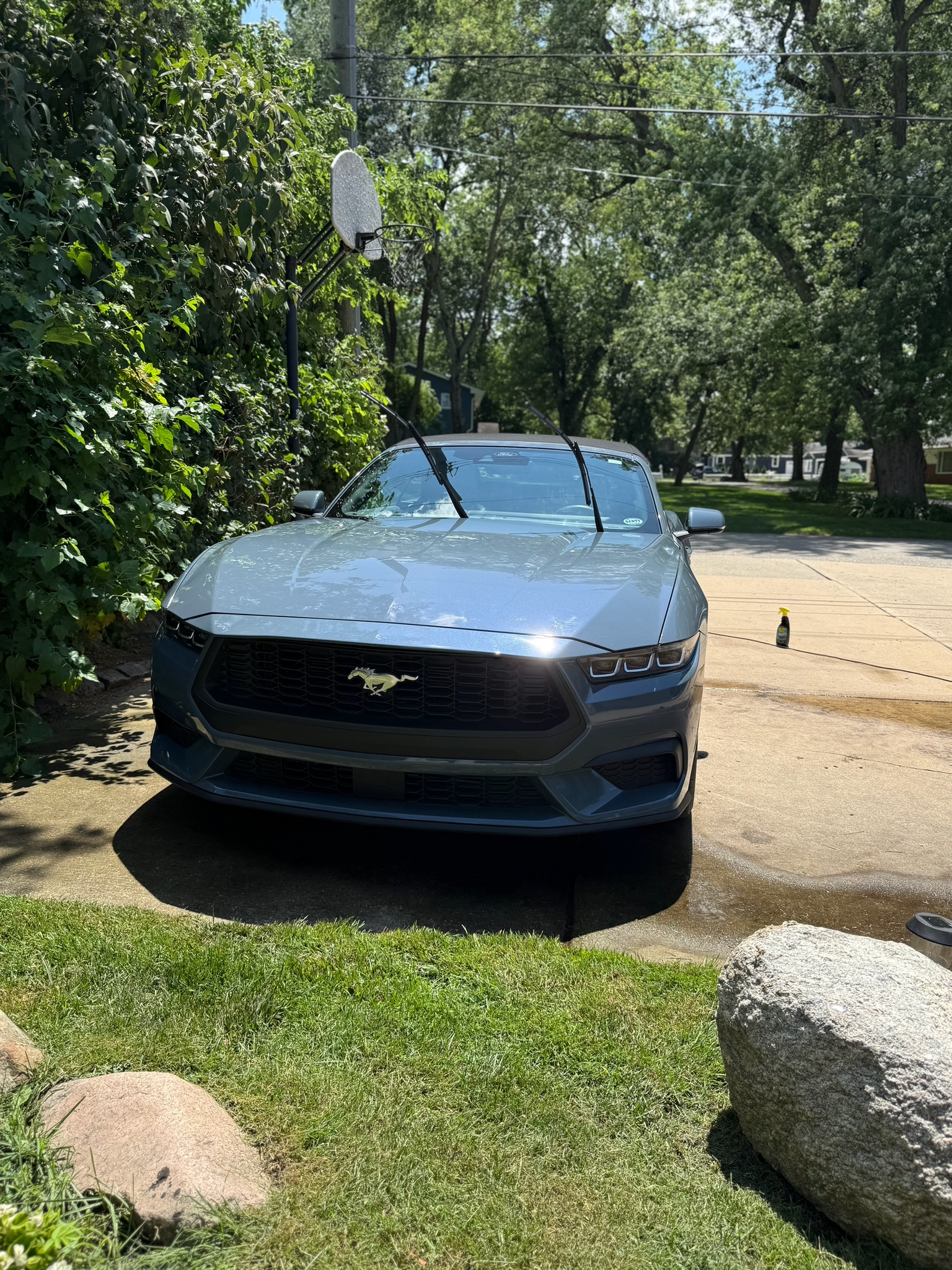 Car Detailing Work